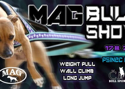 Mag Bull SHOW 17.8.2024